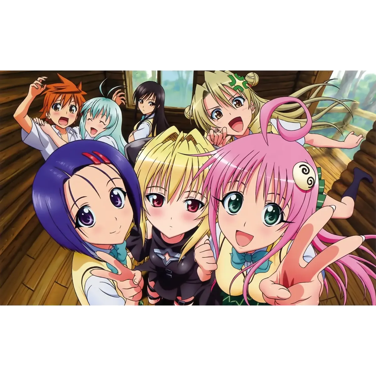 To Love-Ru group  Mouse Pad (Desk Mat)