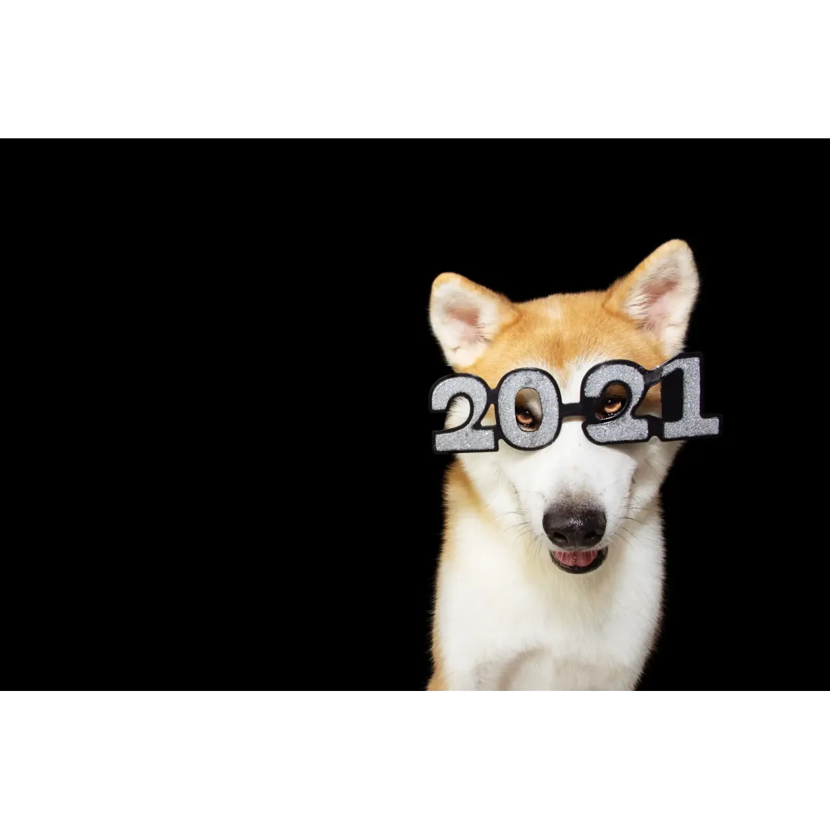 Shiba Inu With 2021 Glasses on Mouse Pad (Desk Mat)