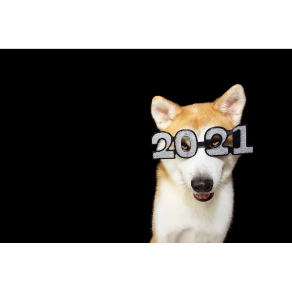 Shiba Inu With 2021 Glasses on Mouse Pad (Desk Mat)