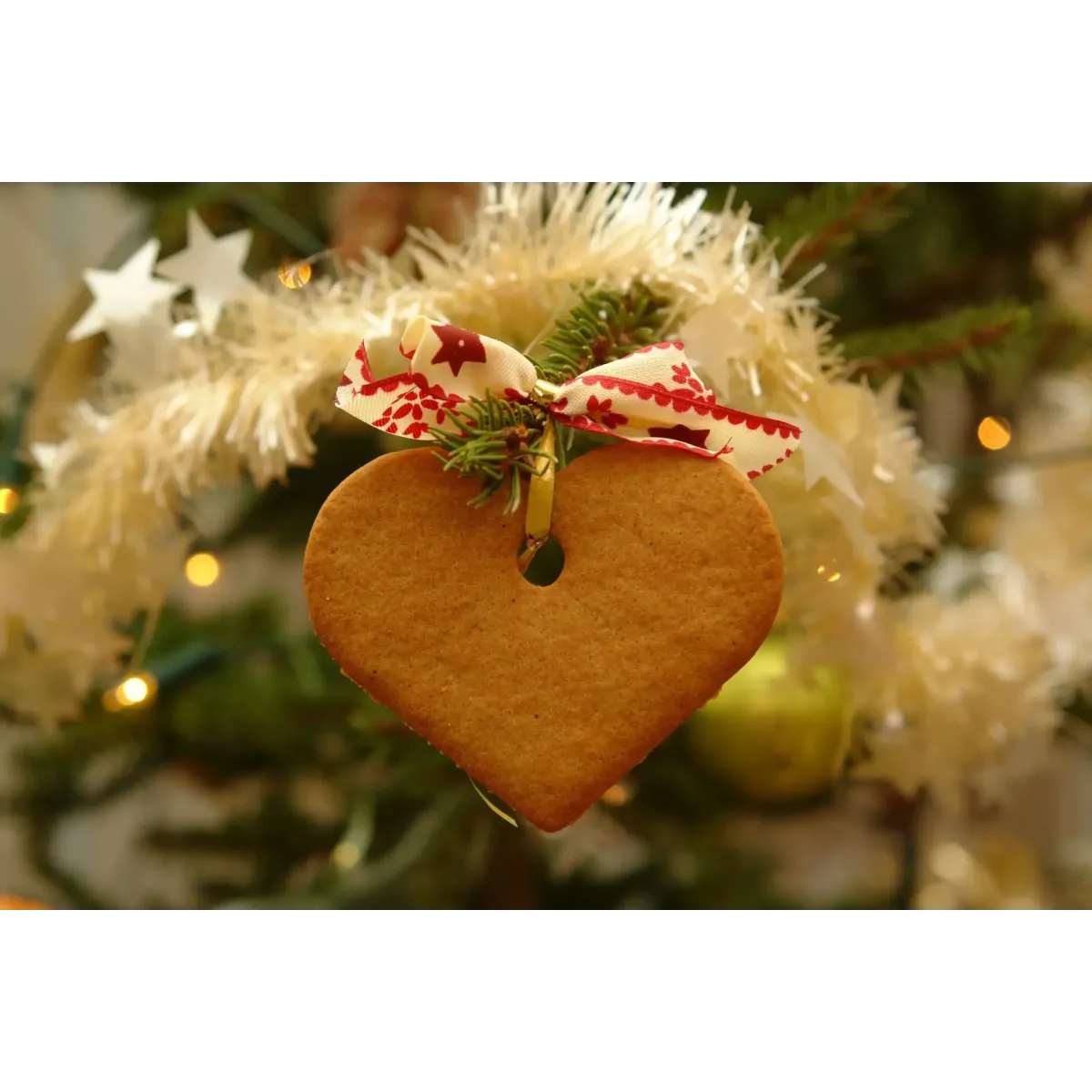 Food Cookie Mouse Pad (Desk Mat)