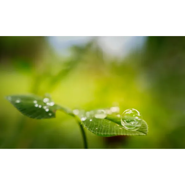 Nature Water Drop Mouse Pad (Desk Mat)