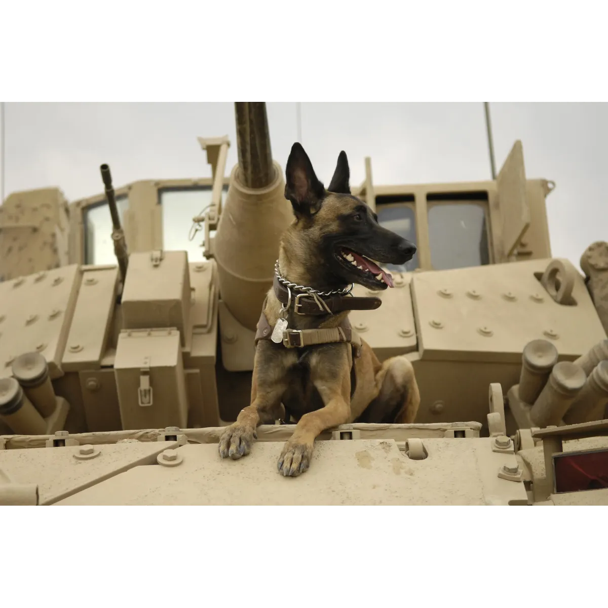 A United States Air Force Belgian Malinois on a M2A3 Bradley Fighting Vehicle  Mouse Pad (Desk Mat)