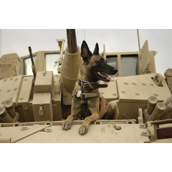 A United States Air Force Belgian Malinois on a M2A3 Bradley Fighting Vehicle  Mouse Pad (Desk Mat)