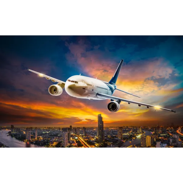 Airplane over City at Sunset Mouse Pad (Desk Mat)